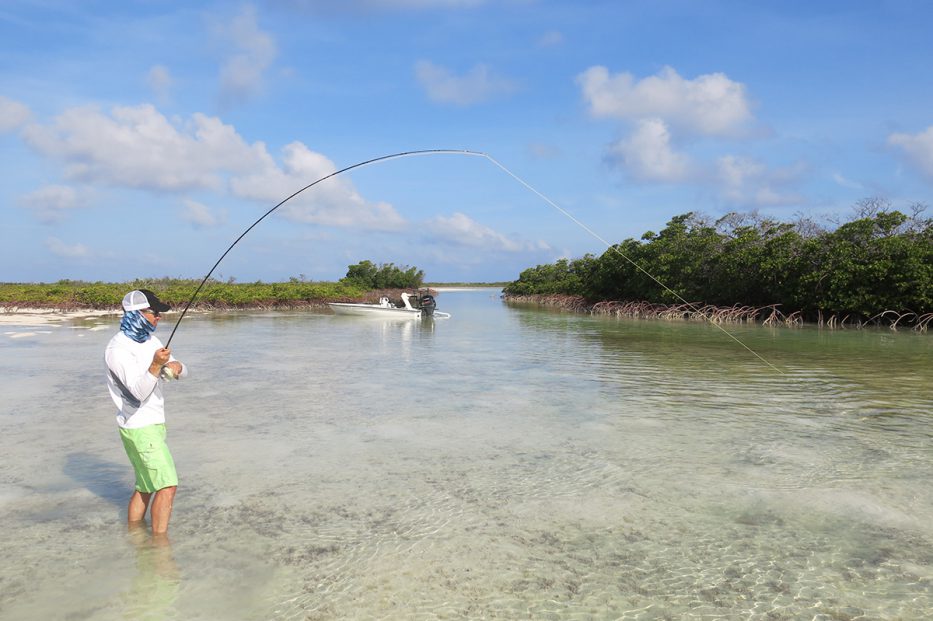 Tom Windham landing a bonefish on Conception Island, Bahamas.